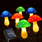 Red, Blue, Green (Six in a box)