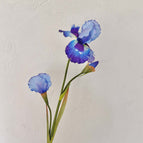 Dark Blue / 5pcs/pack