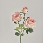 Pink / 3 pcs/pack