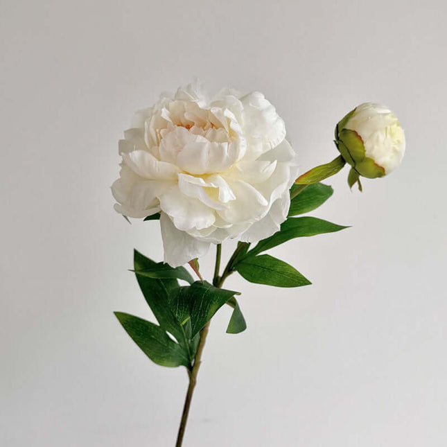 High-Fidelity Premium 2-Head Peony Artificial Flowers For Decoration, High Simulation Flower,Silk-like Fabric,Garden Beautification, Fake Flower Photography Props