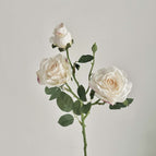 White / 3 pcs/pack