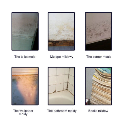 Mildew Remover Spray, Multi-Effect Cleaning, Stain & Mildew Spot Removal, Quick Mold Decomposition, Suitable for Ceiling, Bathroom, Tiles, Wall  Jaysuing