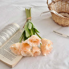 Champagne color / 7pcs/bundle