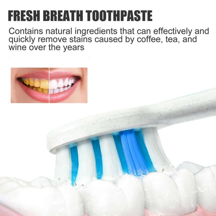 Probiotic CleanToothpaste, Clean Dental Odor, Care for Oral Cavity, Daily Teeth Cleaning, Brightening, Reduce Tooth Stains, Nursing Toothpaste  EELHOE