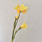 Yellow / 5pcs/pack