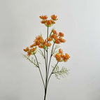Orange / 3pcs Pack
