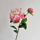 Coral pink / 3pcs Pack