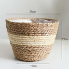 Beige (L)