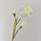 Frosted Ice Blue / 5pcs/pack