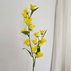 Yellow / 5 pcs/pack