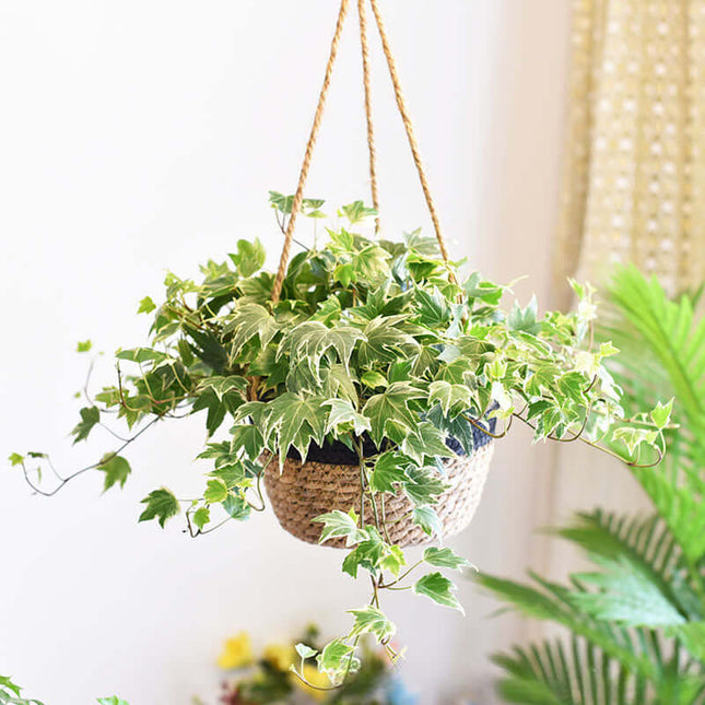 Handmade Hanging Cattail Flowerpot, Creative Hanging Planter, Storage Basket ,Home Decoration