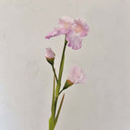 Pink / 5pcs/pack