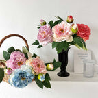 Three self-selected color messages / 3pcs