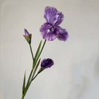 Purple / 5pcs/pack